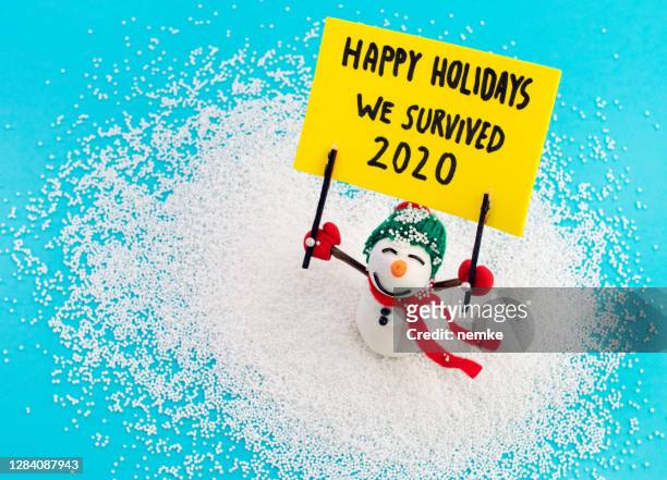 pupazzo di neve tenendo striscione con messaggio buone vacanze siamo sopravvissuti 2020 - 2020 foto e immagini stock