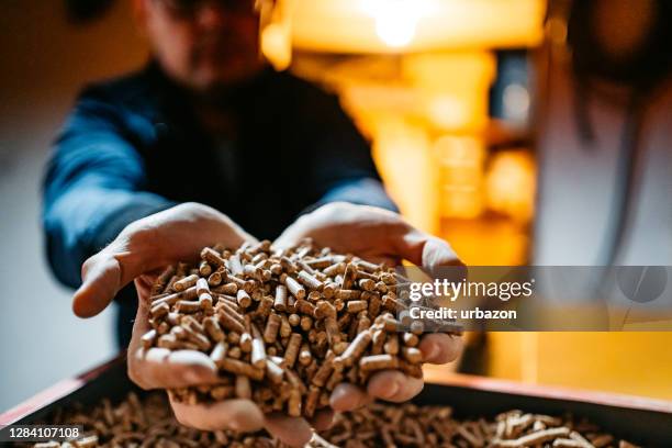 pellet di legno in mano - legna da ardere foto e immagini stock