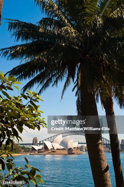 Sydney Opera House and Sydney Harbor Bridge from Sydney Botanic Gardens, New South Wales, Australia.