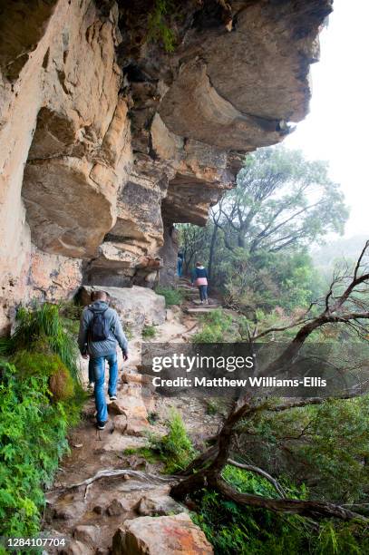 Tourist on a Nature Walk in the Blue Mountains Area, Australia.