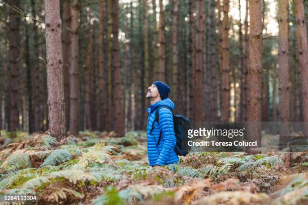 man in the forest hiking and exploring wild remote areas - wood stock pictures, royalty-free photos & images