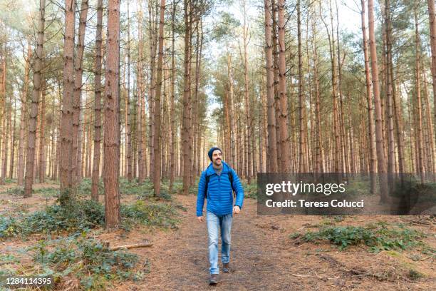 homem caminhando em um caminho na floresta caminhando e explorando áreas remotas selvagens - cannock chase - fotografias e filmes do acervo