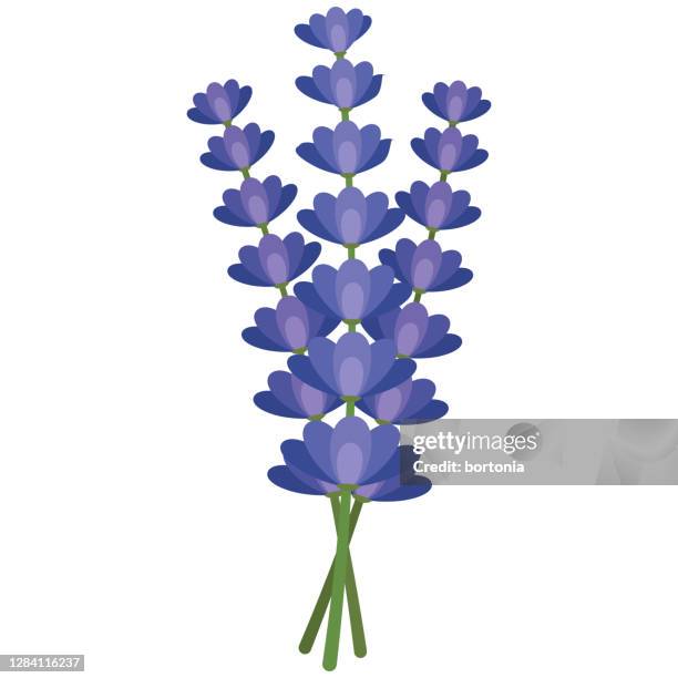 1 267 Flowers Transparent Background High Res Illustrations Getty Images 1 267 Flowers Transparent Background High Res Illustrations Getty Images