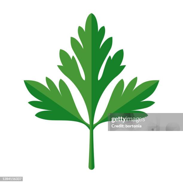 petersilien-symbol auf transparentem hintergrund - parsley stock-grafiken, -clipart, -cartoons und -symbole