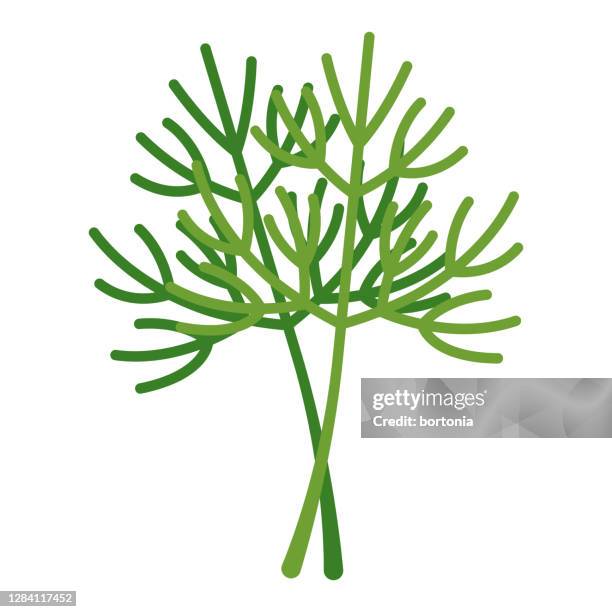dill icon on transparent background - dill stock illustrations
