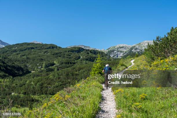 mature men hikign in green mountains against blue sky - slovenia hiking stock pictures, royalty-free photos & images