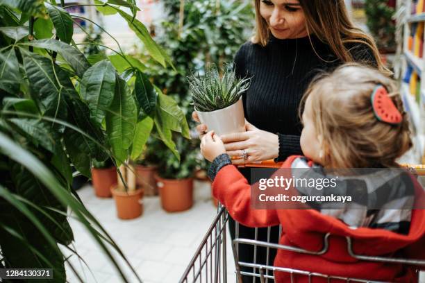 mooie jonge vrouw met dochter in een bloemenwinkel en het kiezen van bloemen - flower shop stockfoto's en -beelden