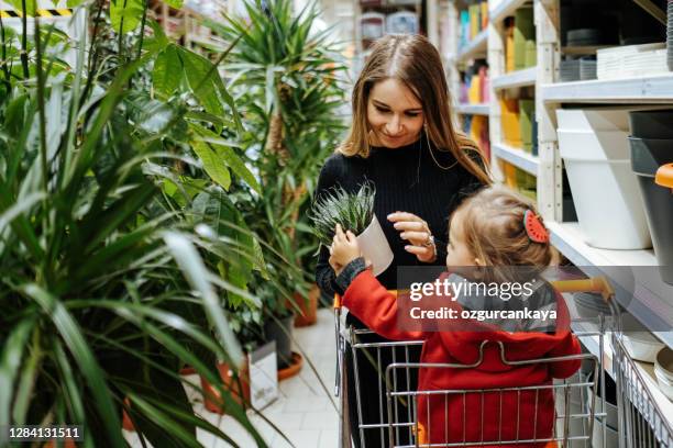 beautiful young woman with daughter in a flower shop and choosing flowers - family decorating stock pictures, royalty-free photos & images