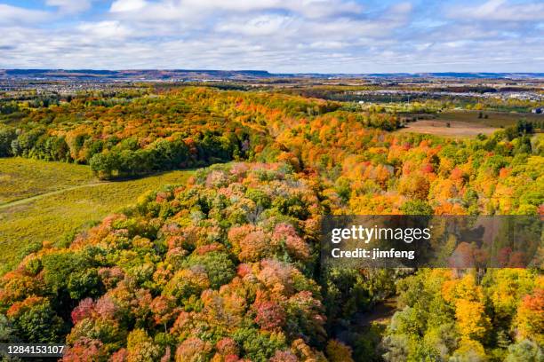 aerial bronte creek provincial park in autumn, oakville, canada - oakville ontario stock pictures, royalty-free photos & images