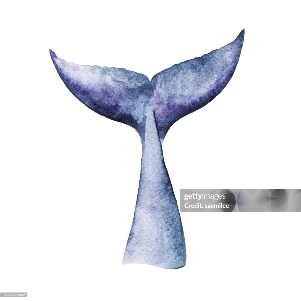 Watercolor Whale Tail