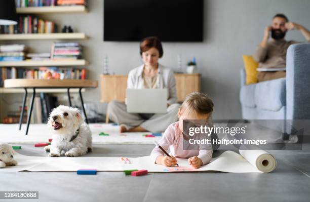 parents with small child working from home, home office with kids concept. - animal related occupation 個照片及圖片檔