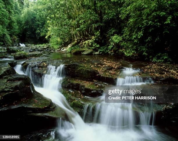 waterfall, barrington tops, nsw, australia - hunter valley stock pictures, royalty-free photos & images