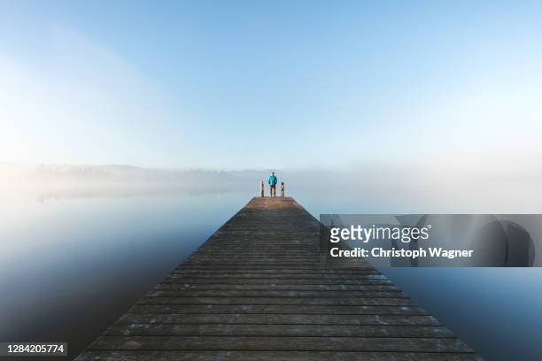 575 Misty Glade Stock Photos, High-Res Pictures, and Images - Getty Images