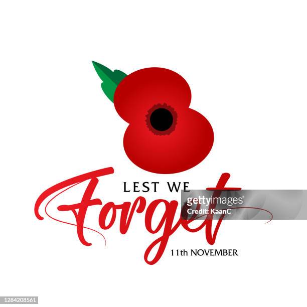 the remembrance day. poppy appeal. flower for remembrance day, memorial day, anzac day in new zealand, australia, canada and great britain. - remembrance day vector stock illustrations