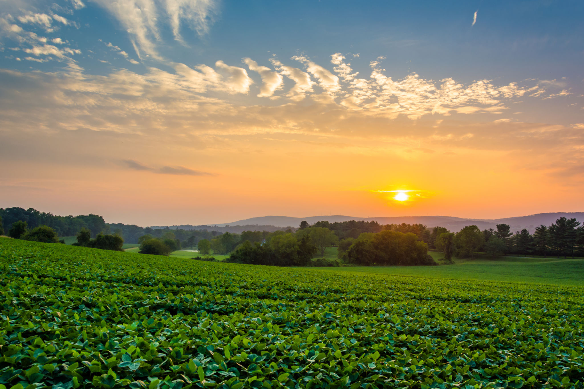 rural Pennsylvania
