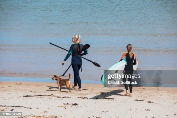 let's find a good spot - paddleboard stock pictures, royalty-free photos & images