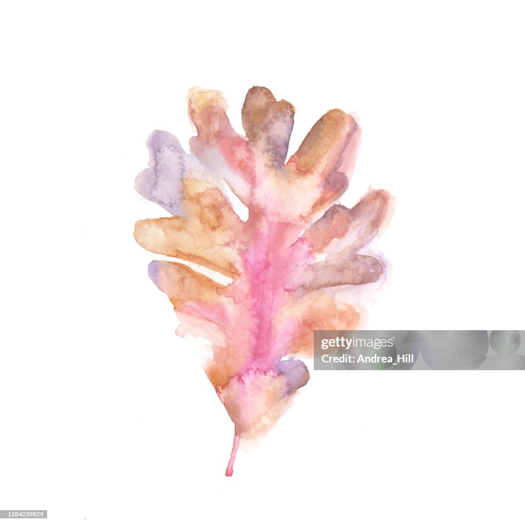 Oak Leaf Watercolor Painting. Raster Illustration