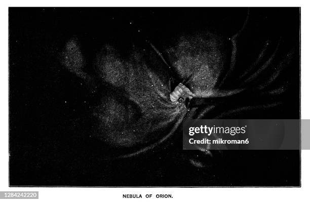 old engraved illustration of astronomy, nebula of orion - orion belt stock pictures, royalty-free photos & images