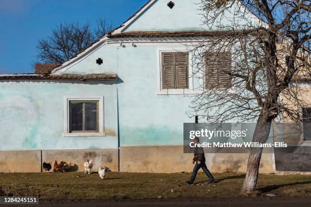Colorful houses in Viscri, UNESCO World Heritage Site, Transylvania, Romania.