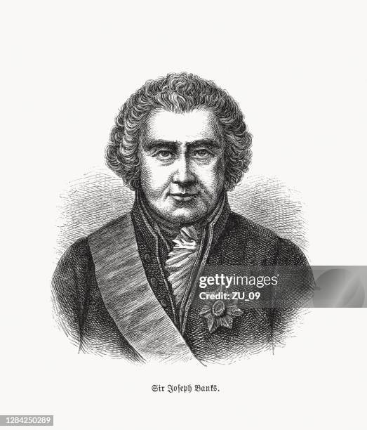 illustrations, cliparts, dessins animés et icônes de sir joseph banks (1743-1820), naturaliste anglais, gravure sur bois, publié en 1893 - naturaliste