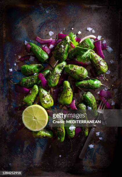 chiles toreados mexicaans recept kieuwde met rode ui - paprikapoeder stockfoto's en -beelden