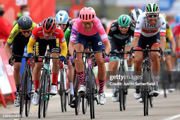 Arrival / Sprint / Dion Smith of New Zealand and Team Mitchelton - Scott / Primoz Roglic of Slovenia and Team Jumbo - Visma Red Leader Jersey /...