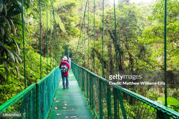 Selvatura Treetop hanging bridges, Monteverde Cloud Forest Reserve, Puntarenas, Costa Rica, Central America.