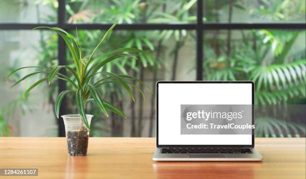 laptop computer blank white screen on table in cafe background. laptop with blank screen on table of coffee shop blur background. - laptop on white background stock pictures, royalty-free photos & images