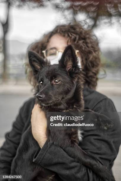 cane da compagnia - animale da compagnia stockfoto's en -beelden