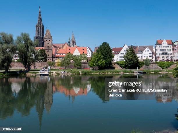 ulm cathedral and buildings on the banks of the danube with water reflection, ulm, baden-wuerttemberg, germany - ulmer münster stock-fotos und bilder