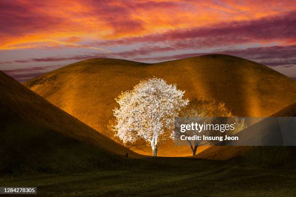 daereungwon ancient tombs sunset - gyeongju ストックフォトと画像