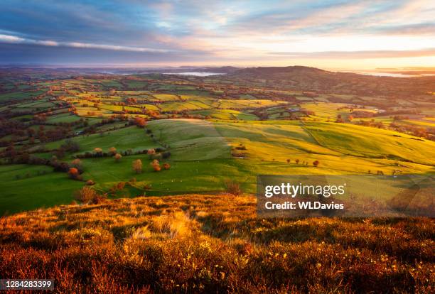 rural welsh landscape - powys stock pictures, royalty-free photos & images