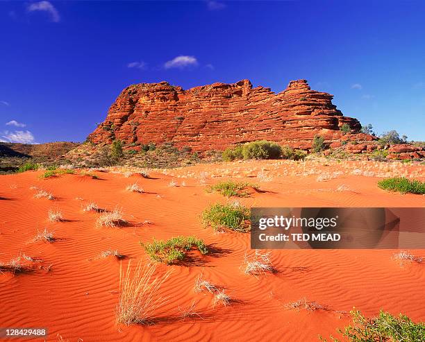sand dune & escarpment, finke gorge national park, nt, australia - australisches buschland stock-fotos und bilder