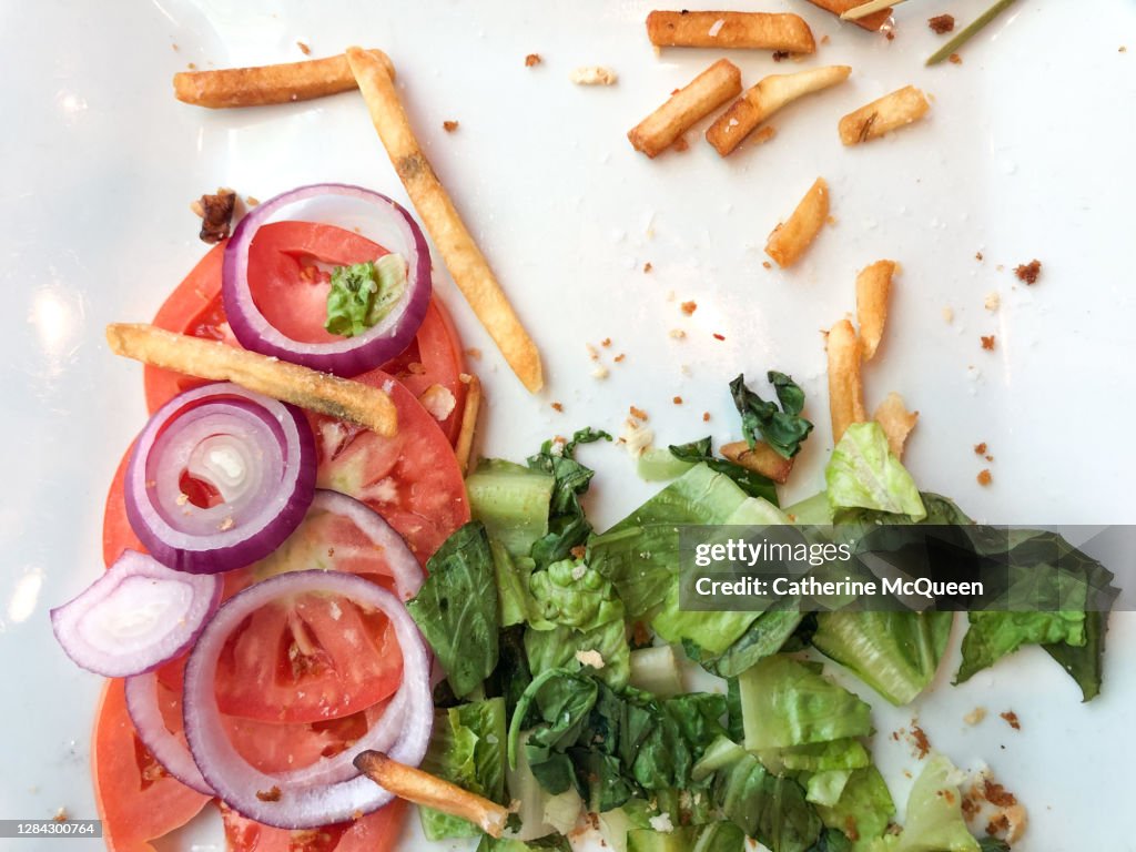 Half empty plate after finishing meal
