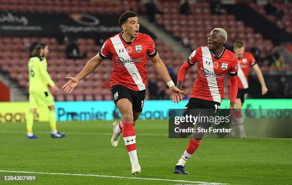 Southampton v Newcastle United - Premier League Southampton v Newcastle United - Premier League