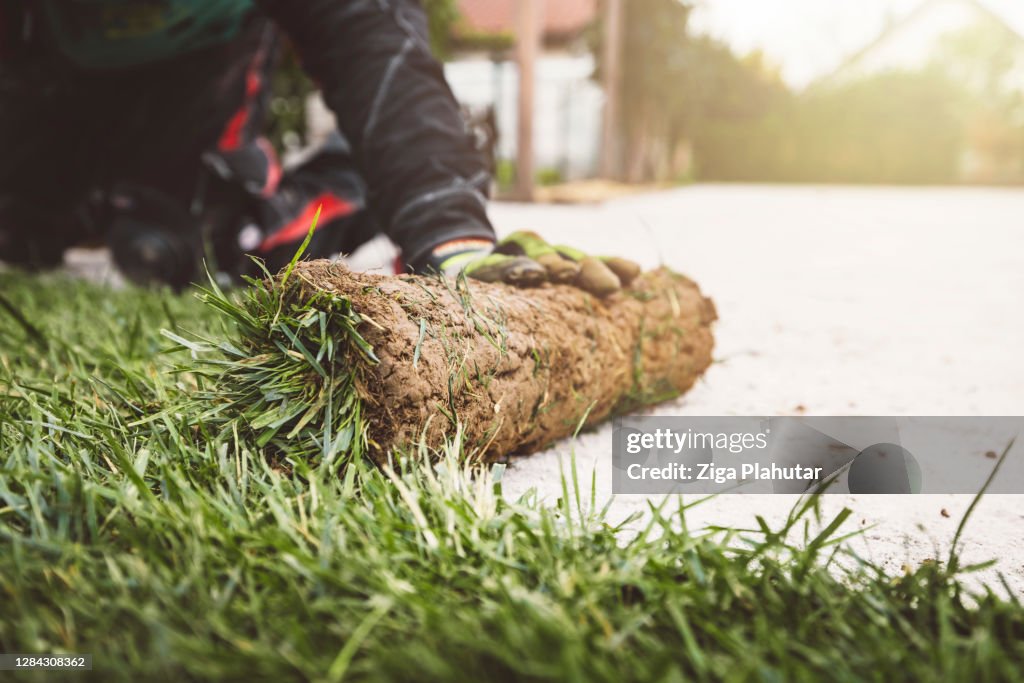 Unkenntlich mann legt Sod-Rollen