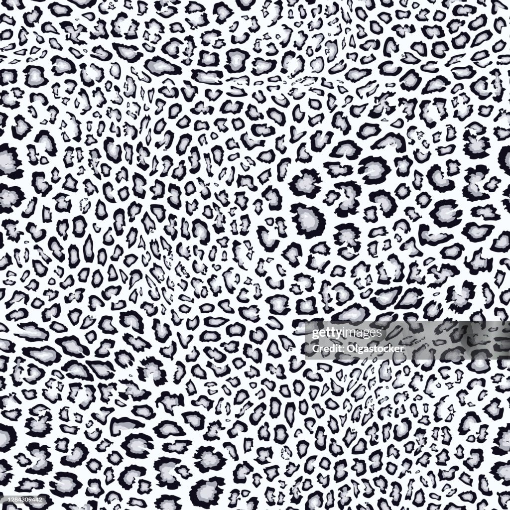 Snow Leopard Pattern Vector Seamless Texture Animal Skin Print Jaguar ...