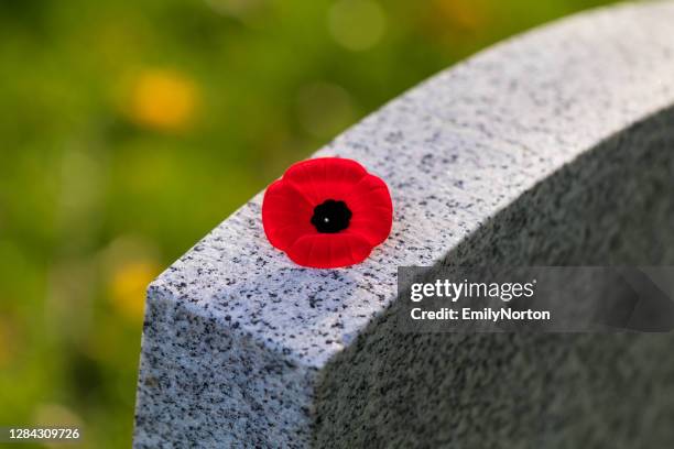 remembrance day poppy - remembrance day canada stock pictures, royalty-free photos & images