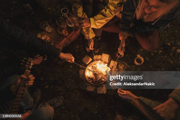 camping nights - log fire stock pictures, royalty-free photos & images