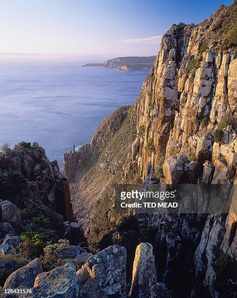cape pillar at sunrise, tasman national park, tasmania, australia - tasman stock pictures, royalty-free photos & images