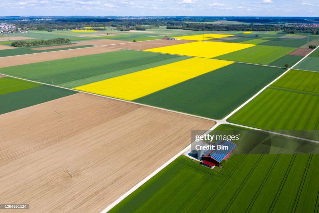 Agricultural Landscape with Farm Barn, Aerial View