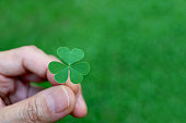 Closeup Vibrant Green Irish Shamrock Leaves in Hand on Blurry Green Field