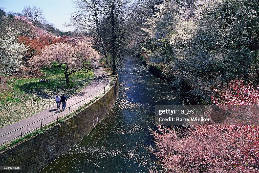 Branch brook park, newark, nj