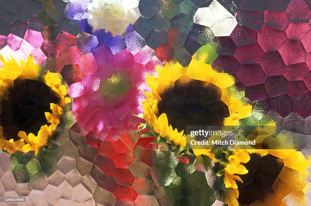 Abstract view of flowers