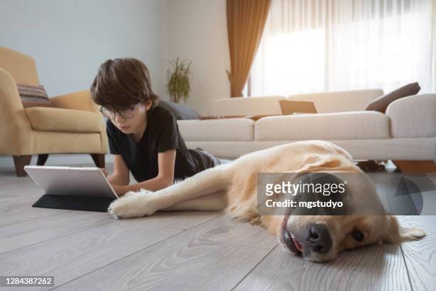 best buddies together! - dog homework stock pictures, royalty-free photos & images