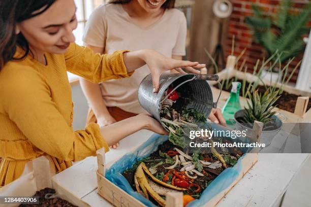 young women planting spices indoors - caseiro imagens e fotografias de stock