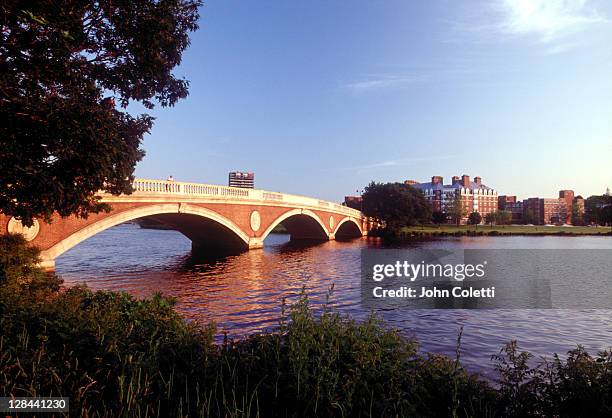 harvard bridge, charles river, cambridge, ma - cambridge massachusetts stockfoto's en -beelden