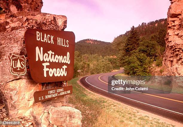 sign welcoming visitors to black hills, sd - national forest stock pictures, royalty-free photos & images