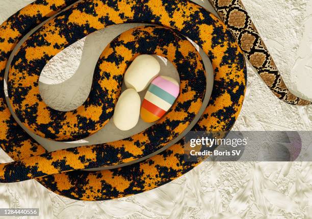 Python Egg - Fotografias e Filmes do Acervo - Getty Images