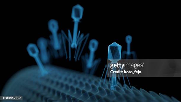 bacteriophage virus - bacillus subtilis stock pictures, royalty-free photos & images